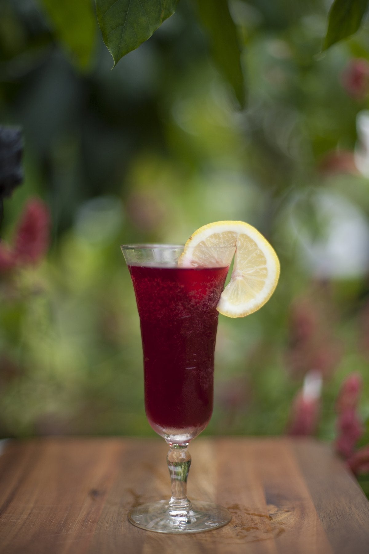 Hibiscus Ginger Lemon + Gin