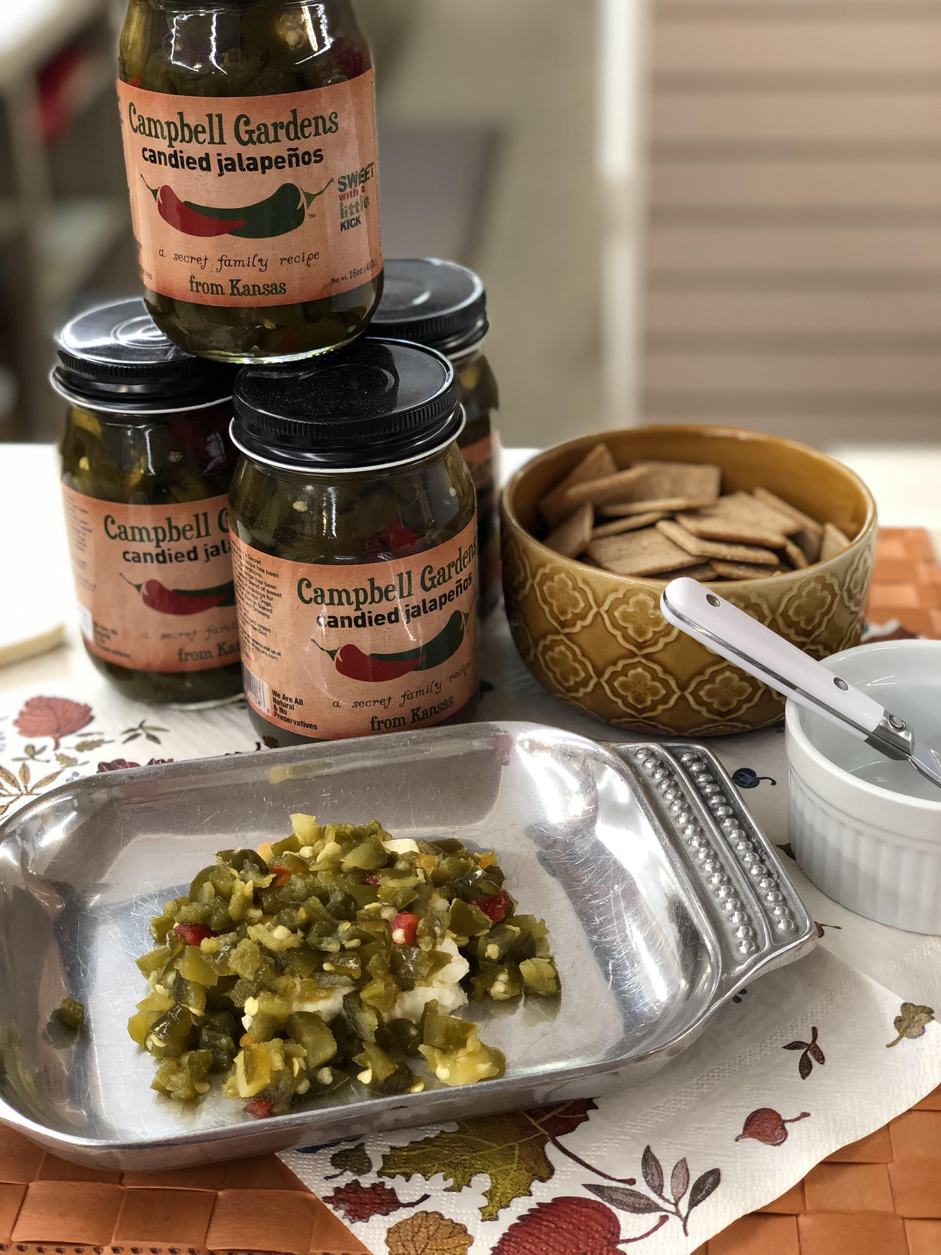 Campbell's Cheeseburger Dip