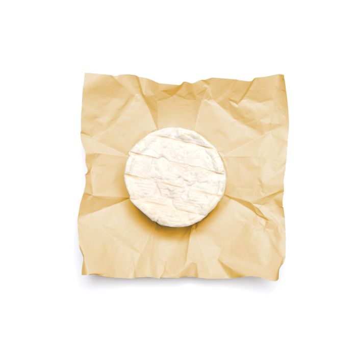 Cheese Wrapping Paper