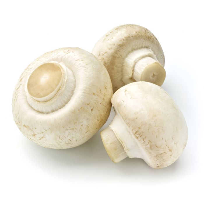 Mushroom Brush
