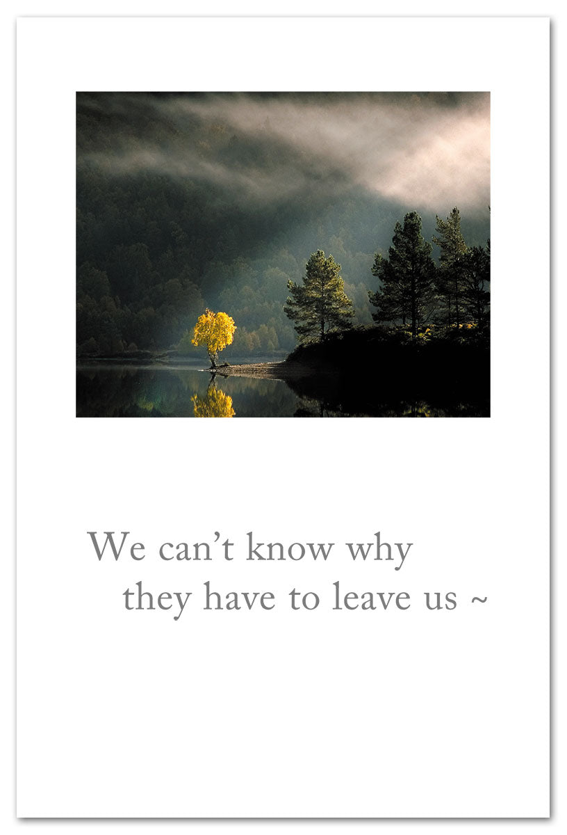 Sunbeam Tree on Lake Condolence Card