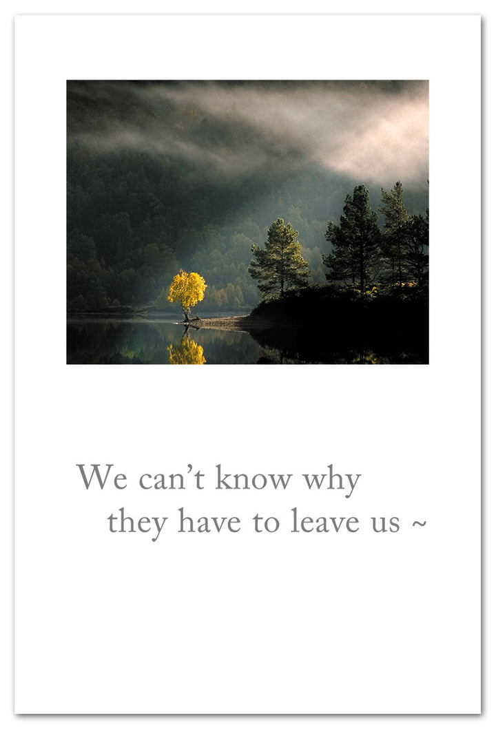 Sunbeam Tree on Lake Condolence Card