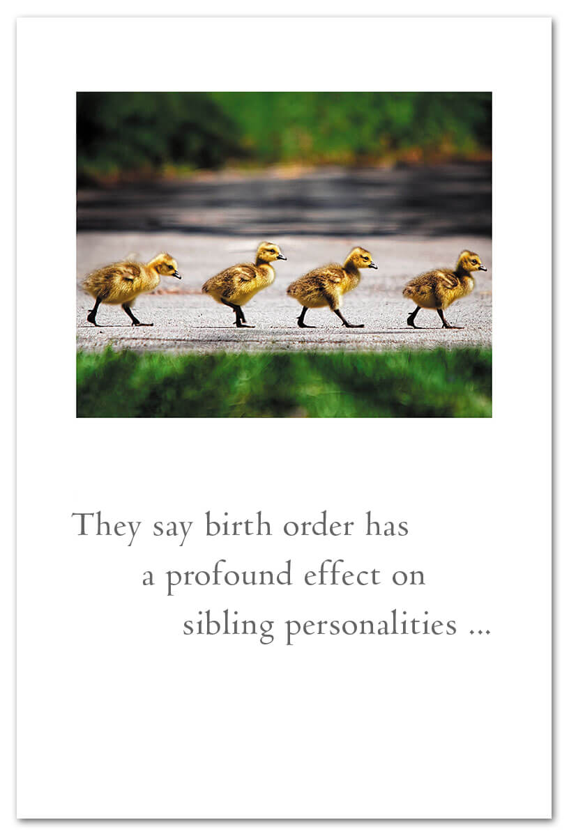 Duckling Convoy Family Birthday Card