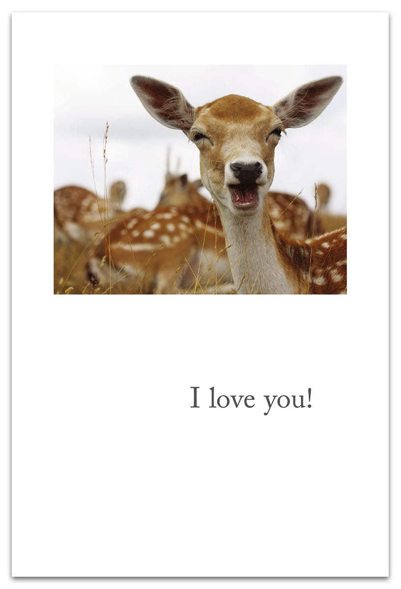 Smiling Fallow Deer Card