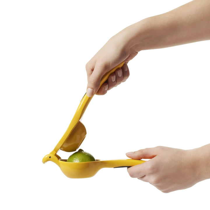 OXO Citrus Squeezer