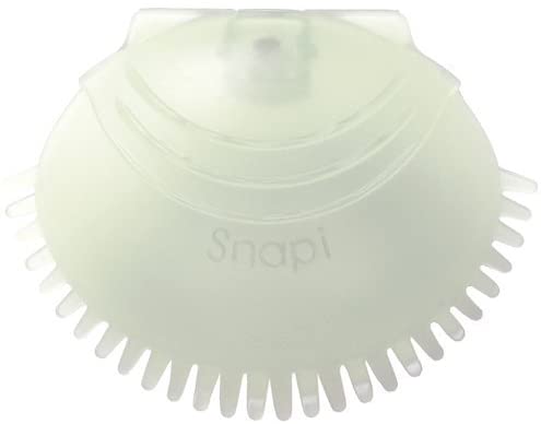 Snapi Server