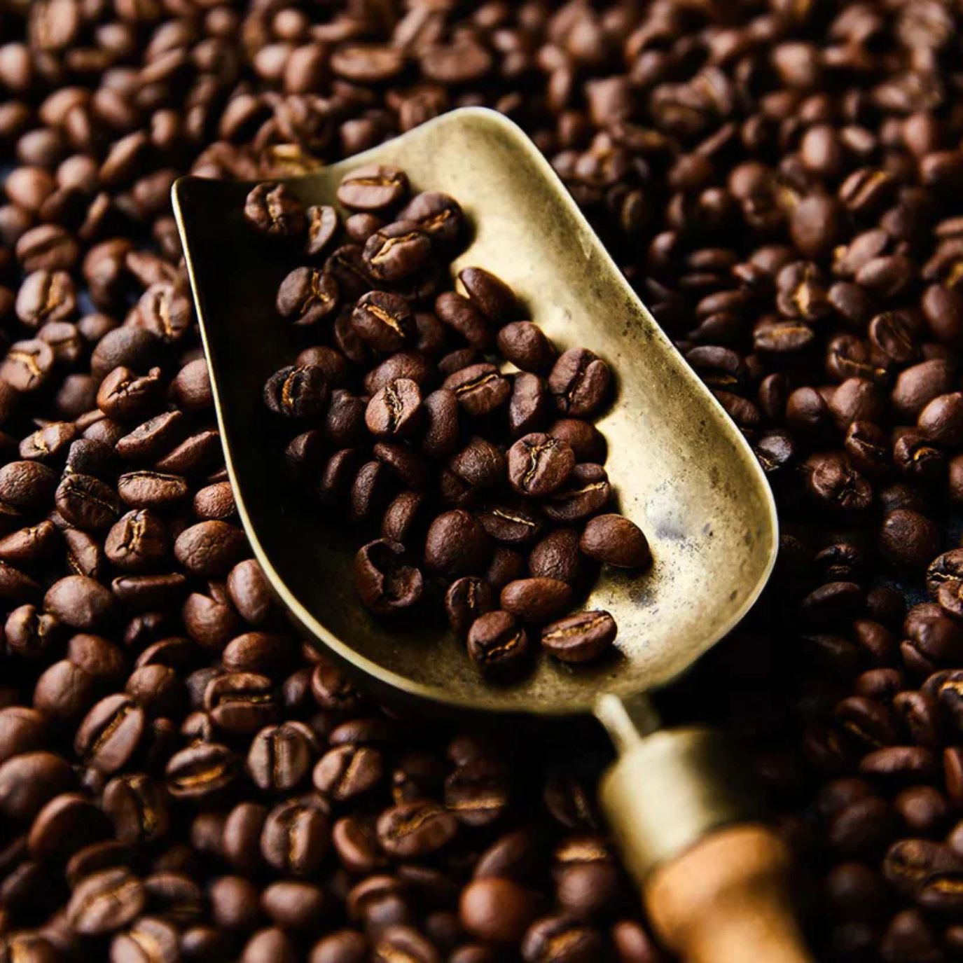Coffee + Tea