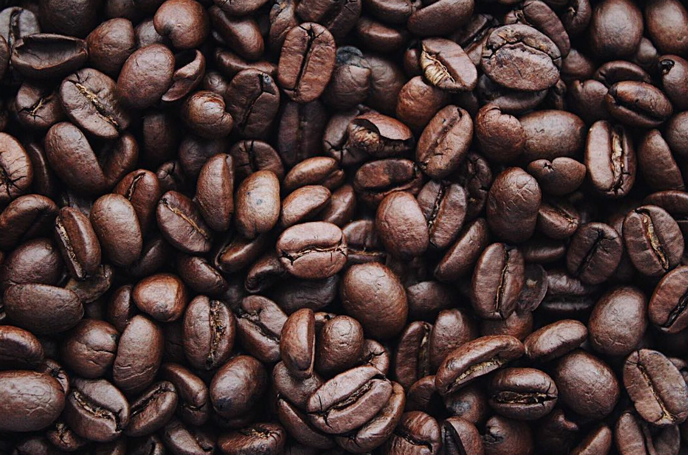 AeroPress Original Coffee Maker – The Cook's Nook