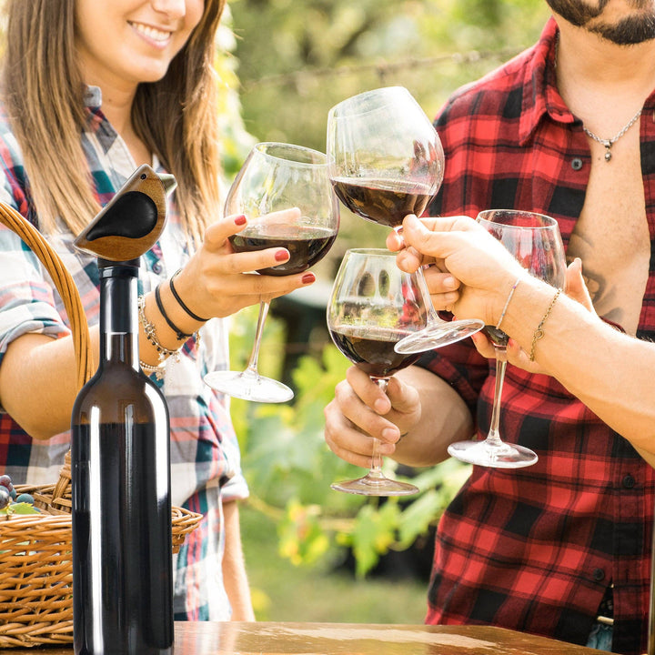 Songbird Specialties® Wine Bottle Pourer, Black