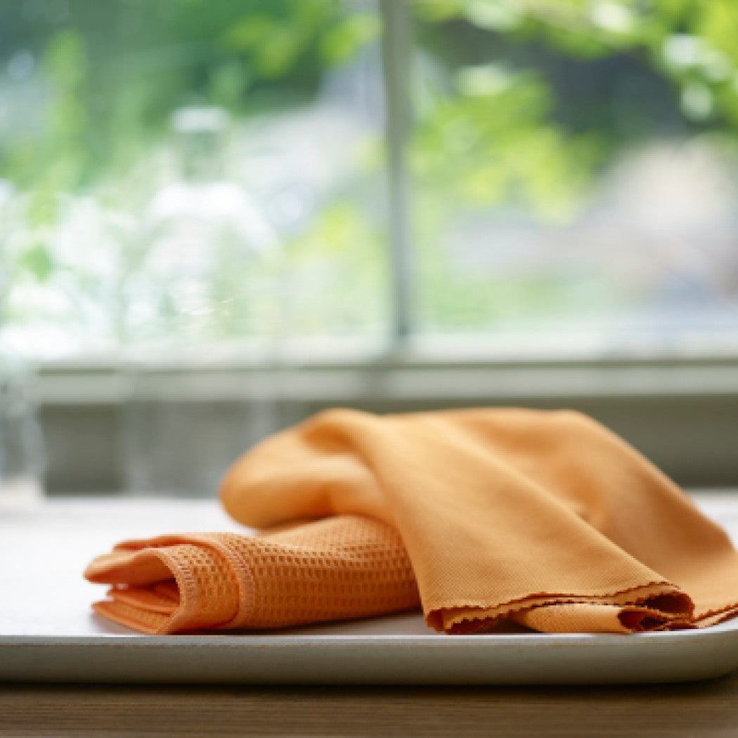 E-Cloth Window Cleaning Cloth Set