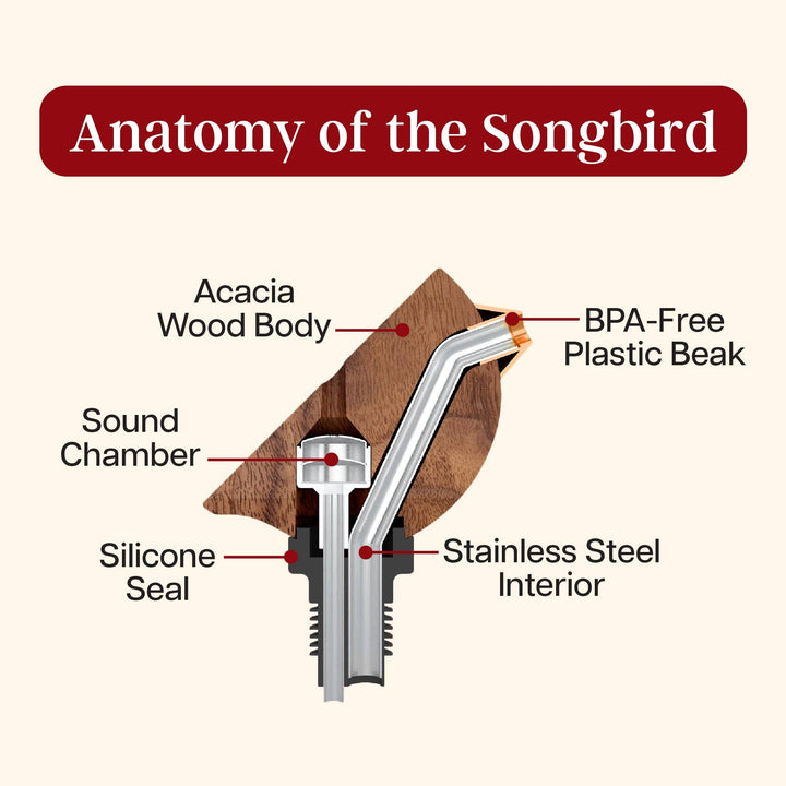 Songbird Specialties® Wine Bottle Pourer, Black
