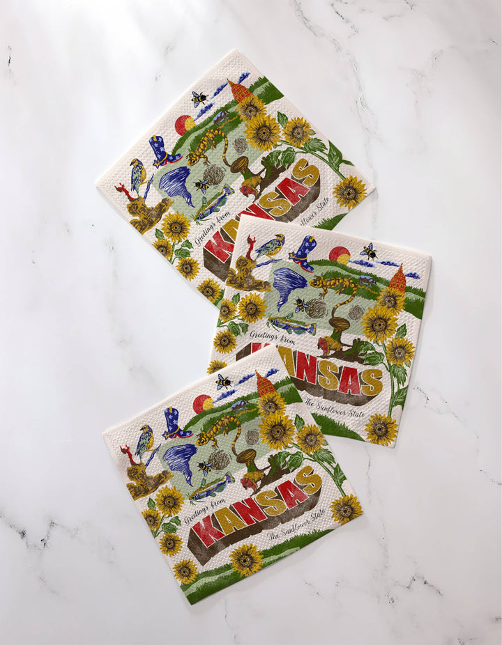 Greetings From Kansas Dishcloth Set