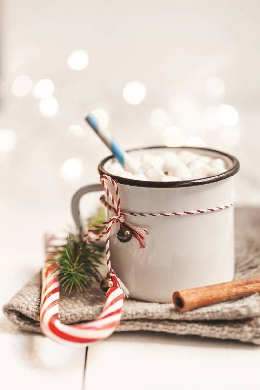 Cozy Cocoa Festive Gift Set - 140g Double Truffle