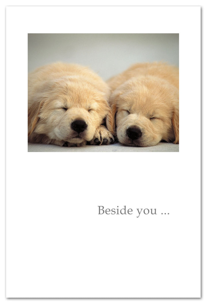 Two Golden Pups Sleeping Anniversary-to-Spouse Card