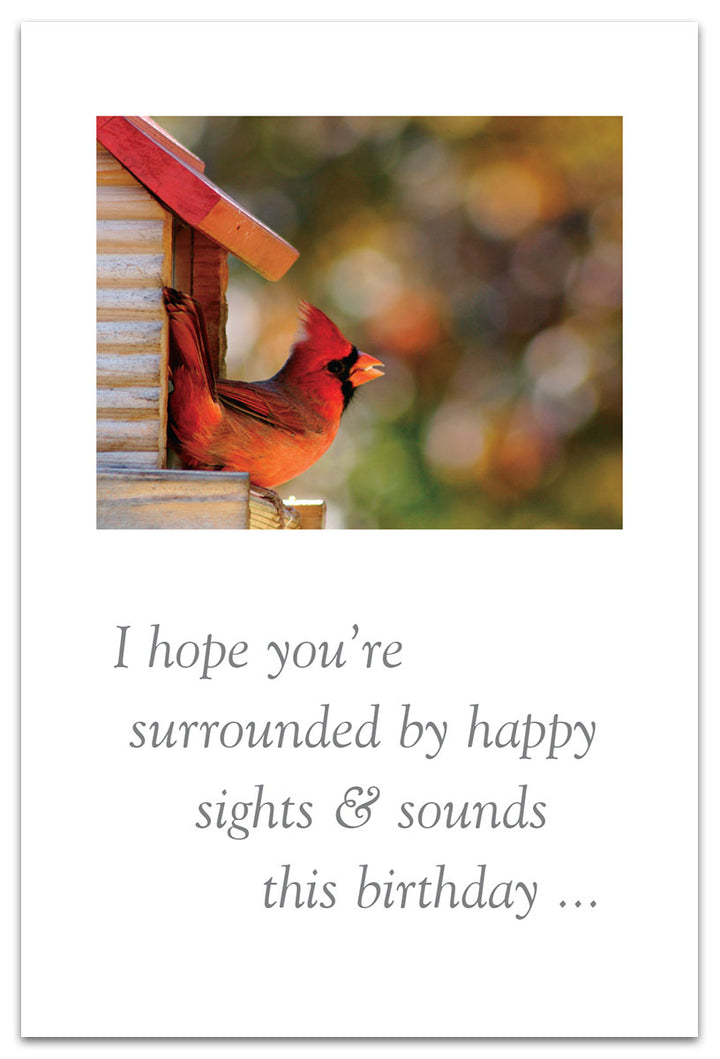 Cardinal's Home Birthday Card