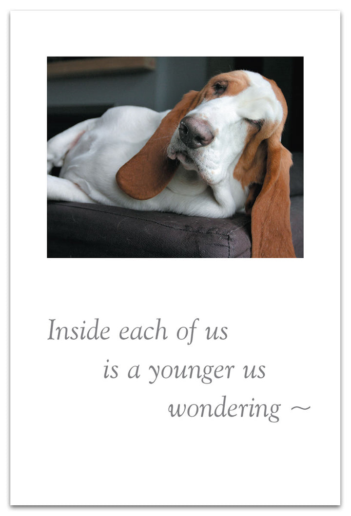 Sleepy Hound Birthday Card