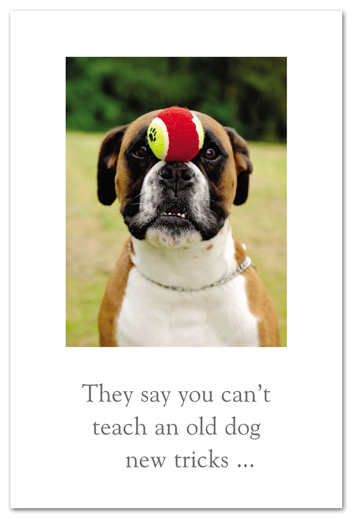 Dog with Ball on Nose Birthday Card