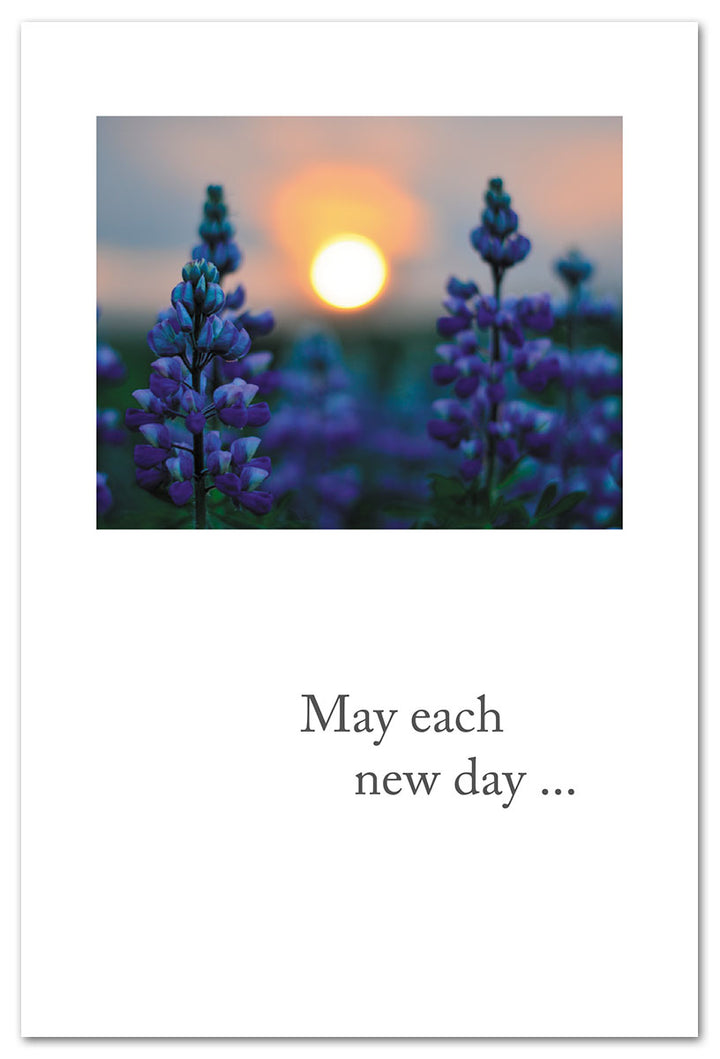 Sunset Between Bluebonnets Support & Encouragement Card