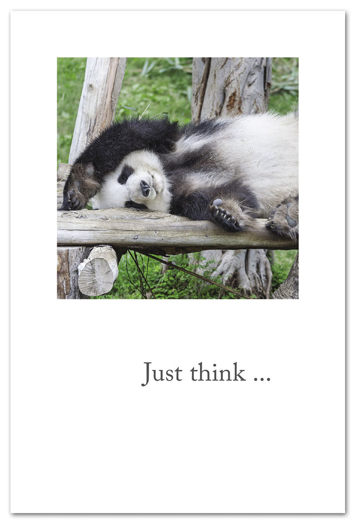 Sleeping Giant Panda Retirement Card