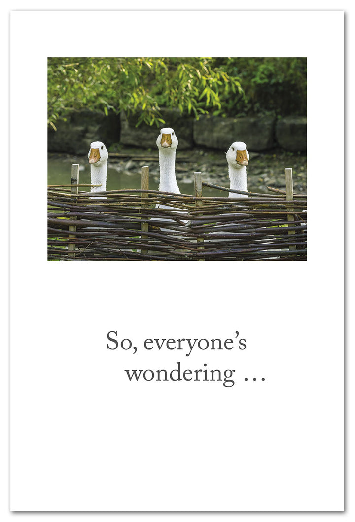 Geese Behind Fence Birthday Card