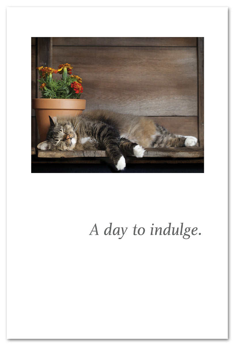 Happy Cat Napping Card