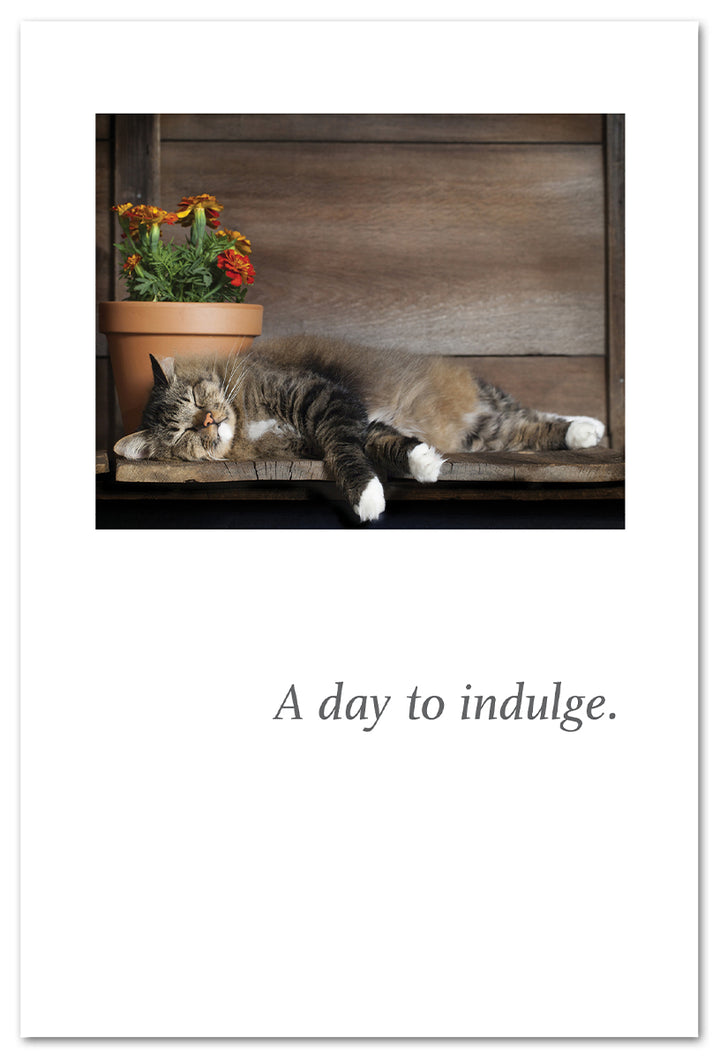 Happy Cat Napping Card