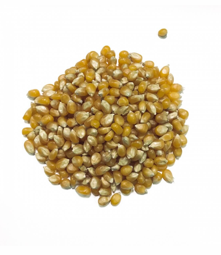 Big & Yellow Popcorn