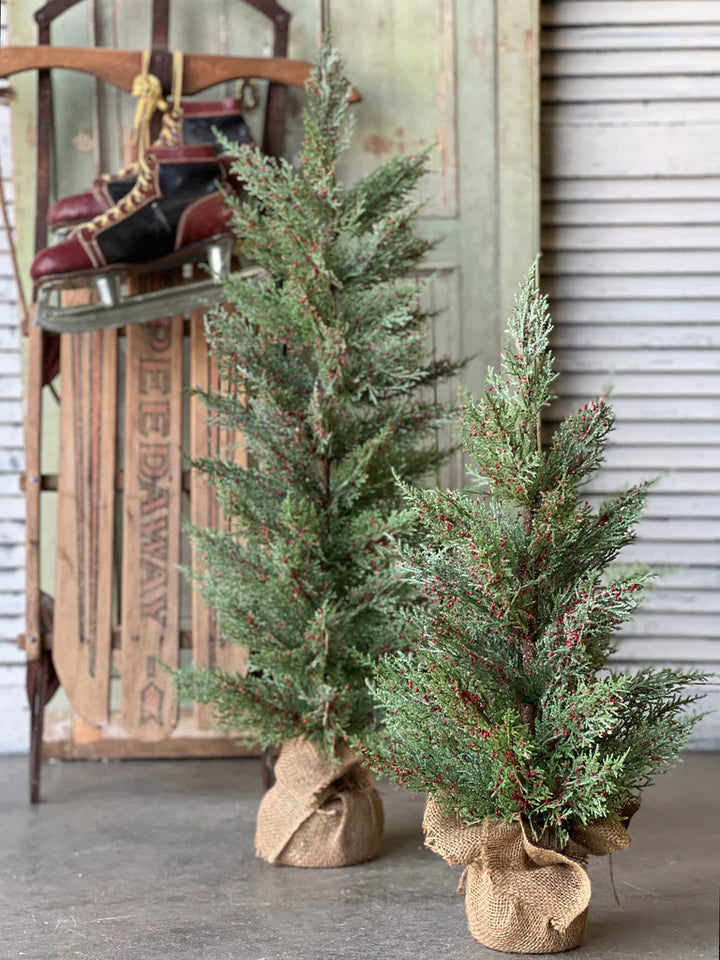 Dashing Cedar & Berry Tree