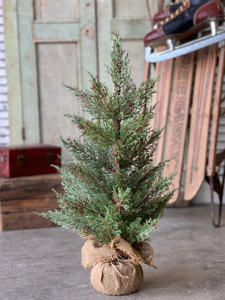 Dashing Cedar & Berry Tree