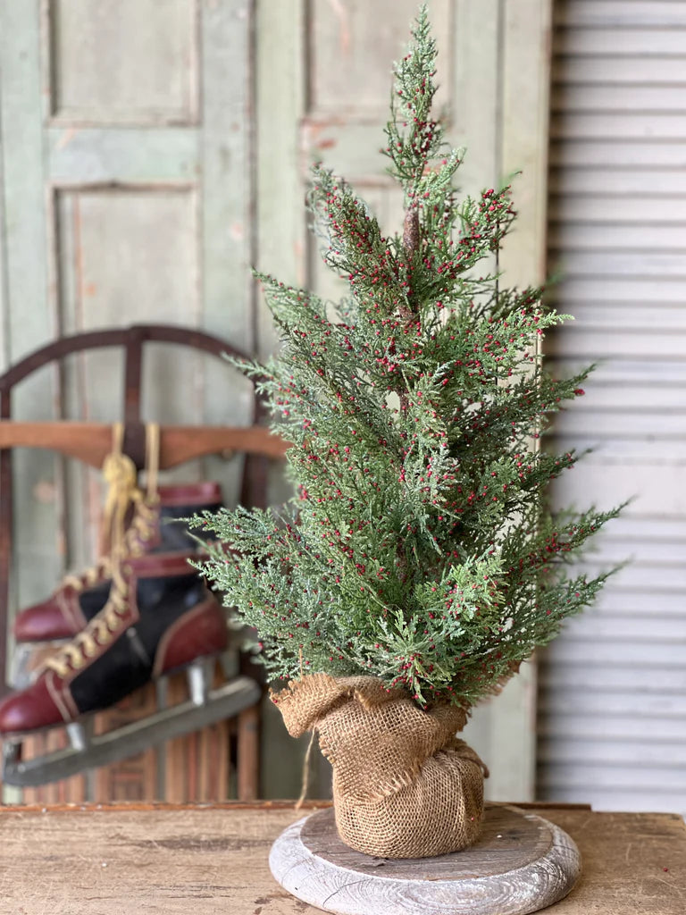 Dashing Cedar & Berry Tree