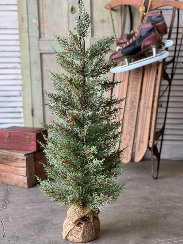 Dashing Cedar & Berry Tree