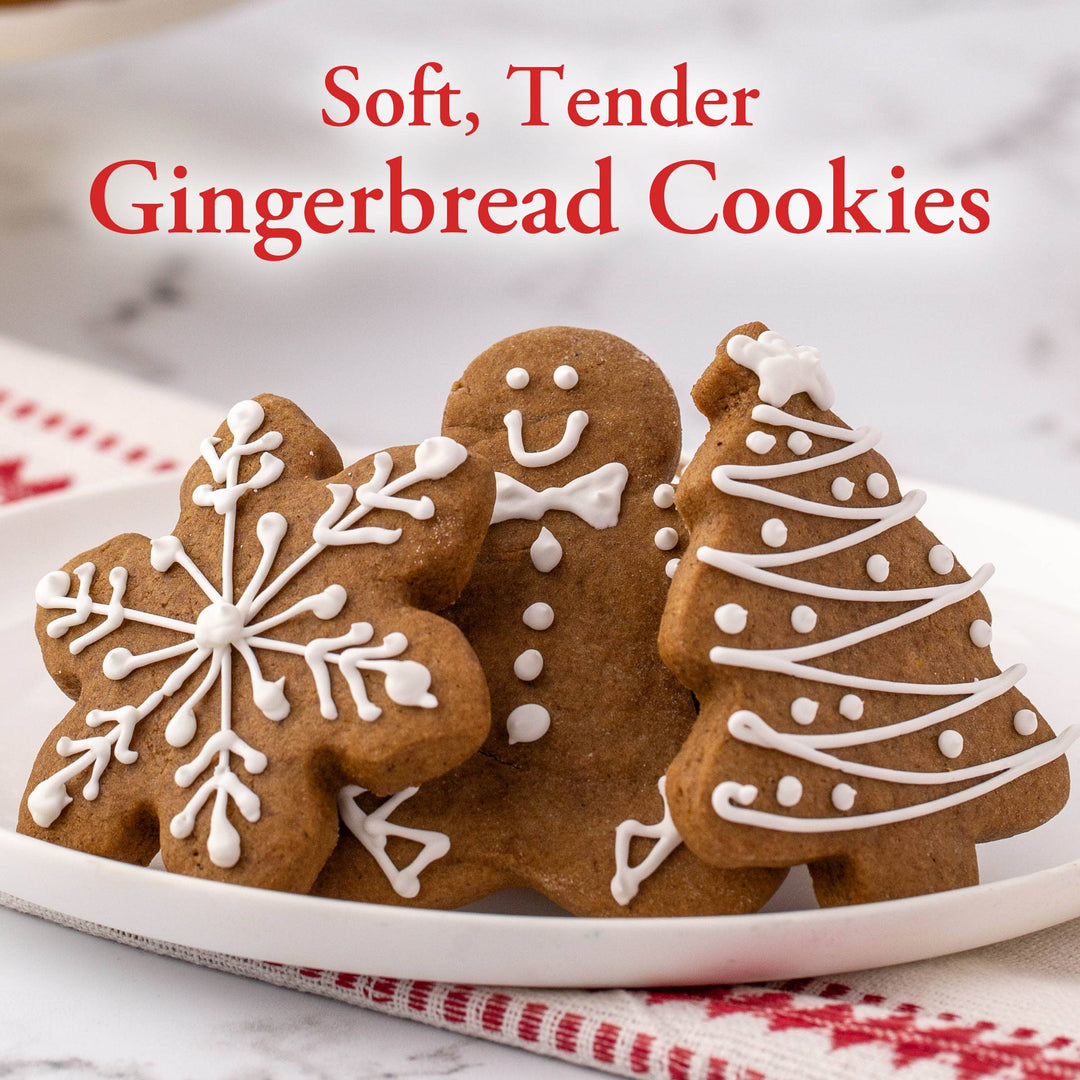 Premium Gingerbread Cookie Mix, 16 oz