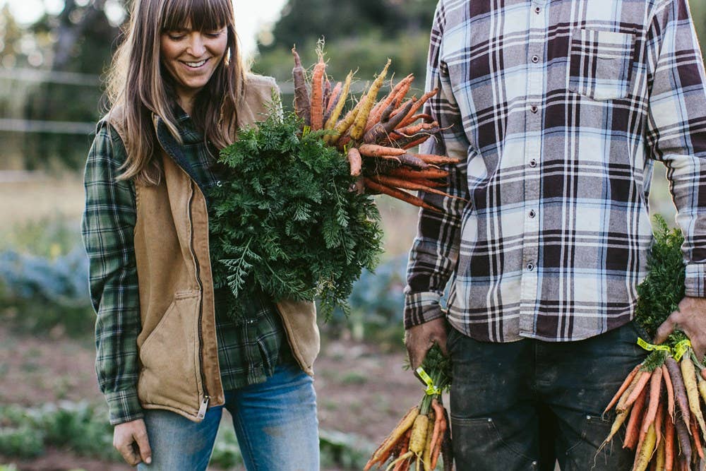 Dishing Up the Dirt : Andrea Bemis