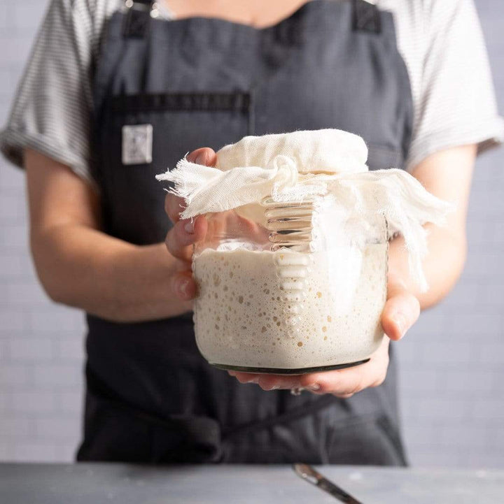 San Francisco Sourdough Starter