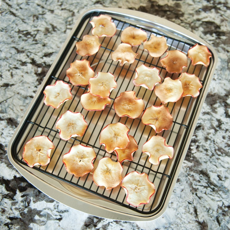 Nordic Ware's Oven Crisp Baking Pans: The best pans for crisping foods in  your oven 