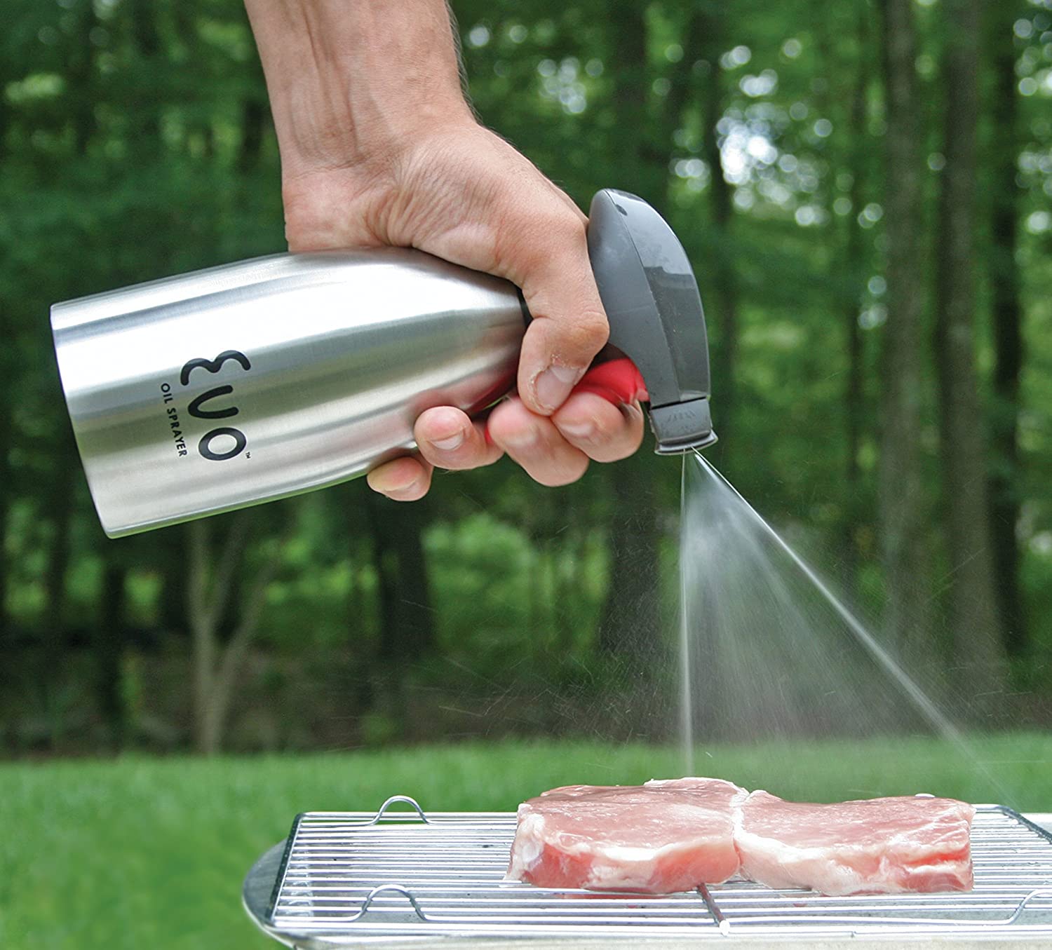 Oil sprayer online